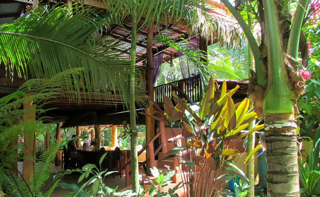 Caribe Town Bungalows Puerto Viejo de Talamanca Zewnętrze zdjęcie