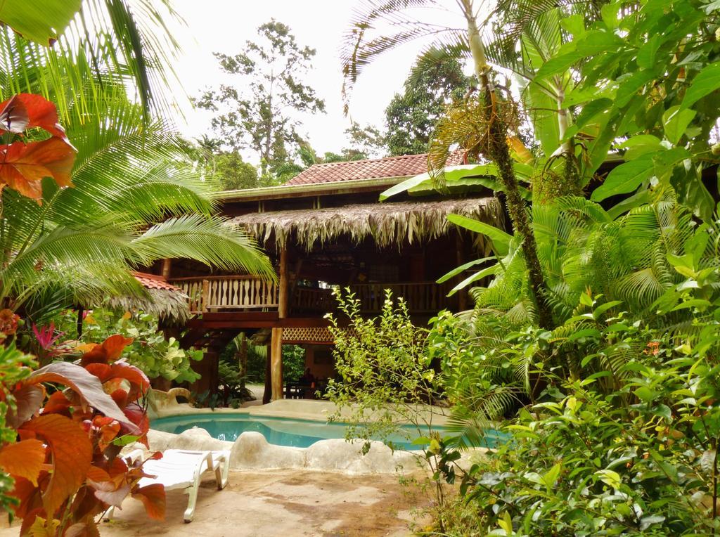 Caribe Town Bungalows Puerto Viejo de Talamanca Zewnętrze zdjęcie