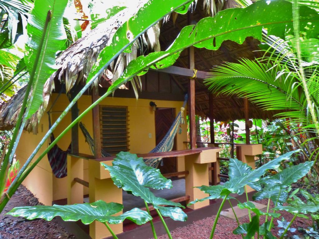 Caribe Town Bungalows Puerto Viejo de Talamanca Pokój zdjęcie