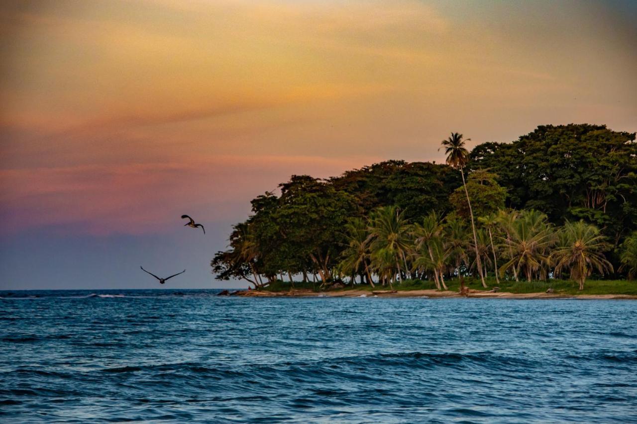 Caribe Town Bungalows Puerto Viejo de Talamanca Zewnętrze zdjęcie