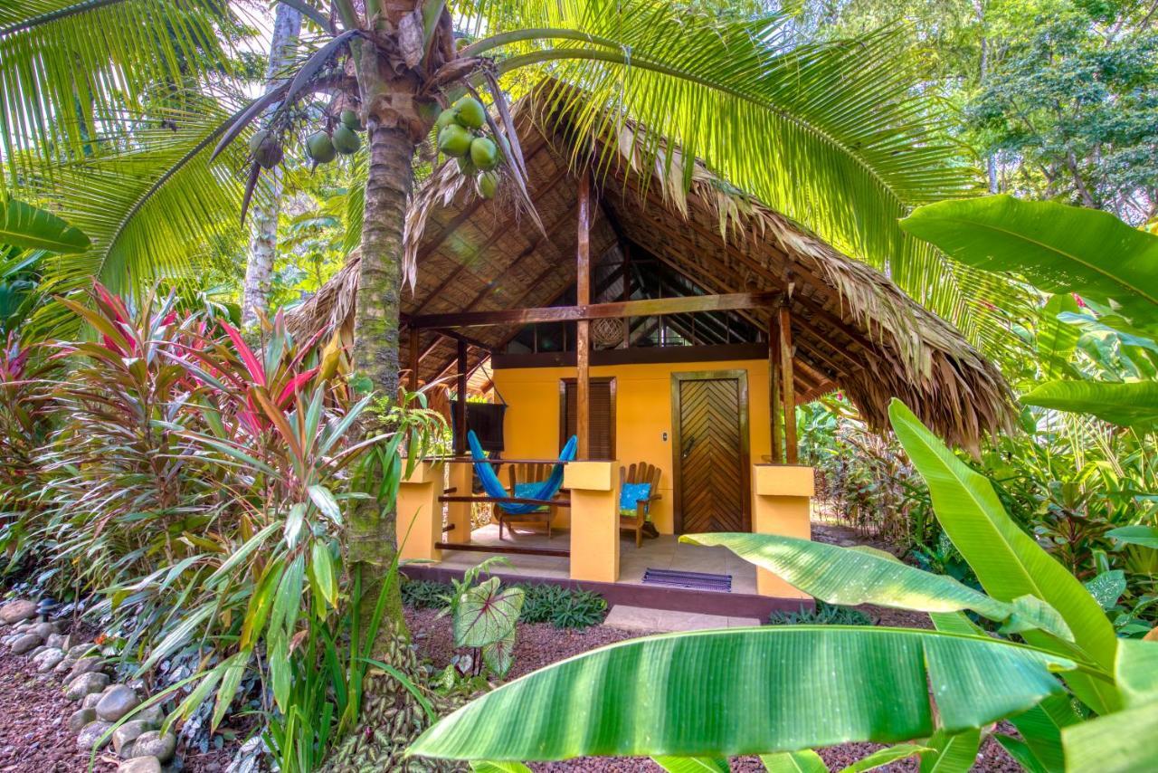 Caribe Town Bungalows Puerto Viejo de Talamanca Zewnętrze zdjęcie