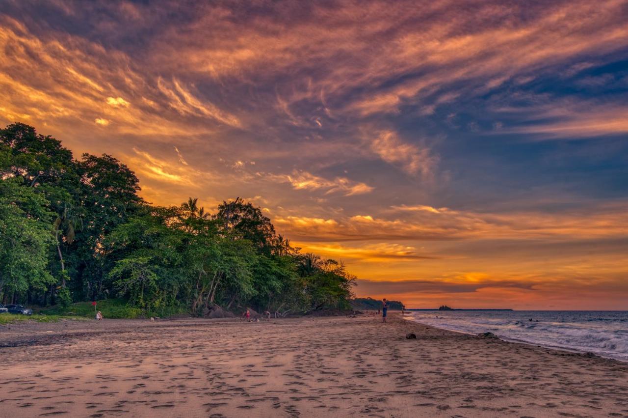 Caribe Town Bungalows Puerto Viejo de Talamanca Zewnętrze zdjęcie