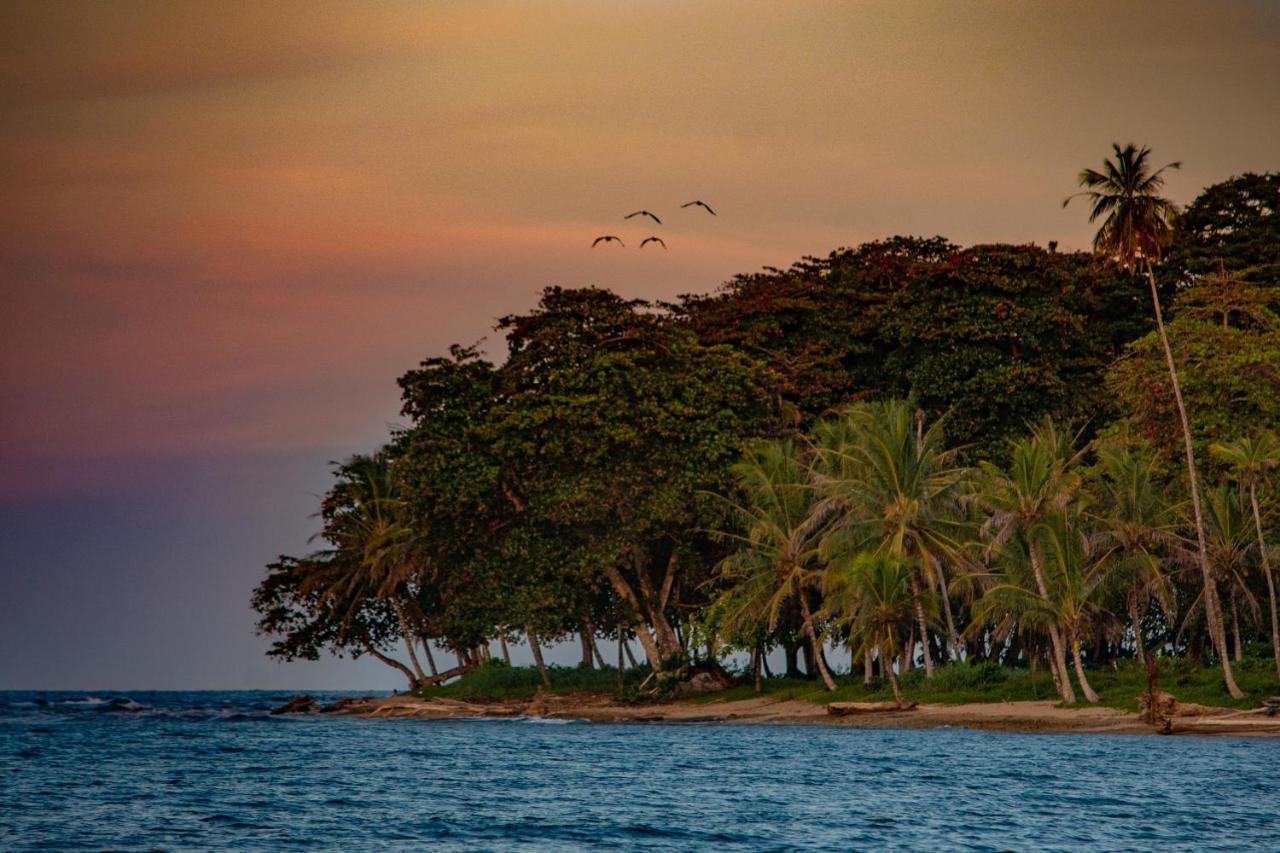 Caribe Town Bungalows Puerto Viejo de Talamanca Zewnętrze zdjęcie